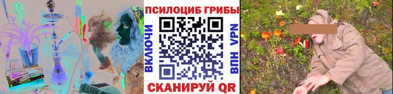 Галлюциногенные грибы Psilocybe Архангельск