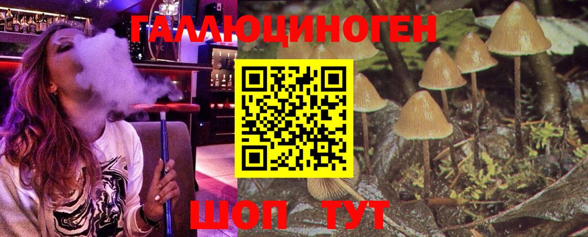 Альфа ПВП Архангельск