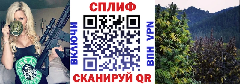 Каннабис планчик  Архангельск 